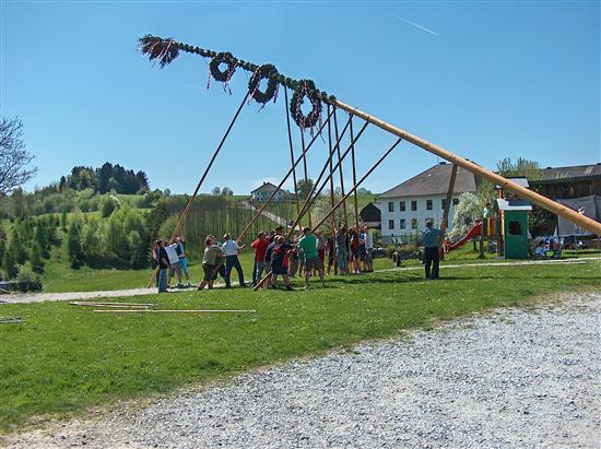 Events/2012/Maibaum/Aufstellen